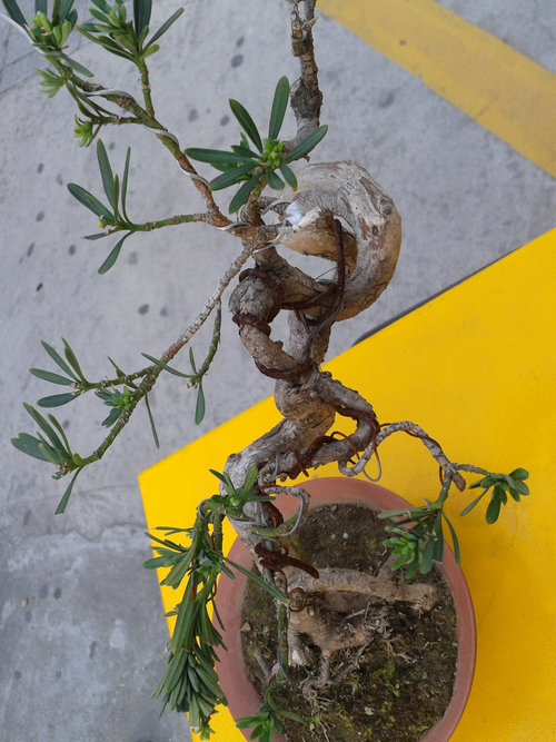 2013-04-15 17.29.34.jpg