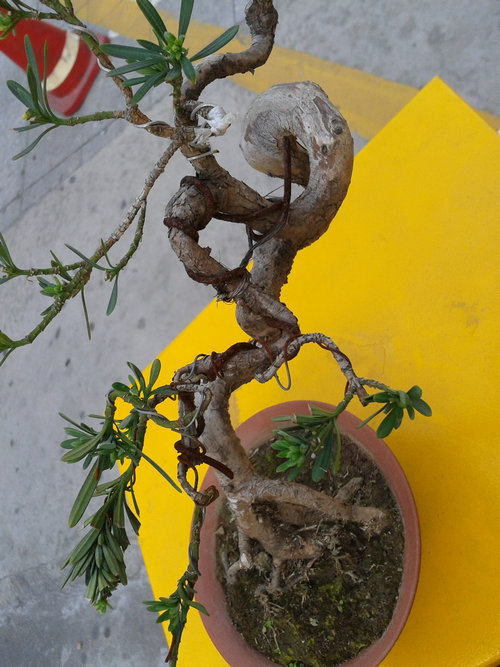 2013-04-15 17.28.16.jpg