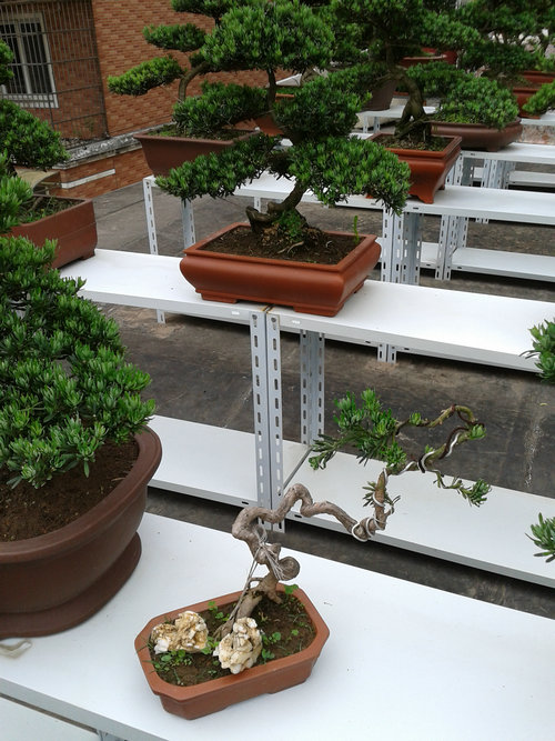 2013-05-15 13.36.44.jpg