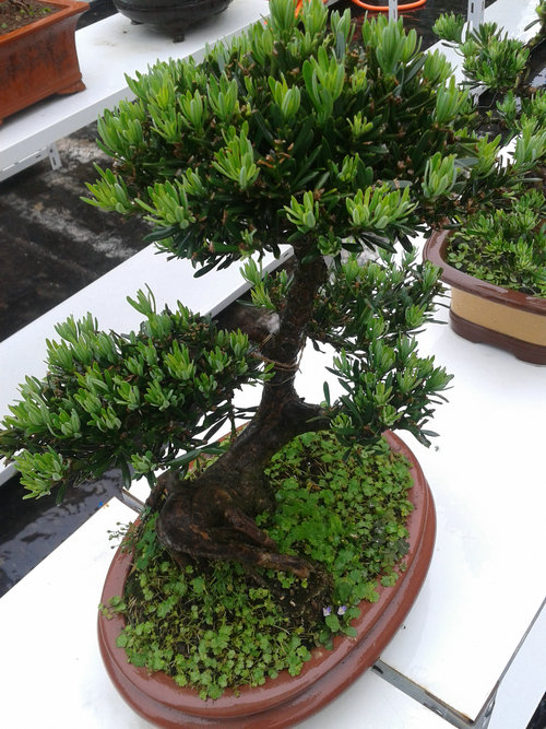 2013-05-16 12.39.31.jpg