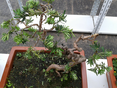 2013-06-01 14.17.24.jpg