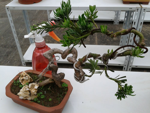 2013-05-15 13.32.39.jpg