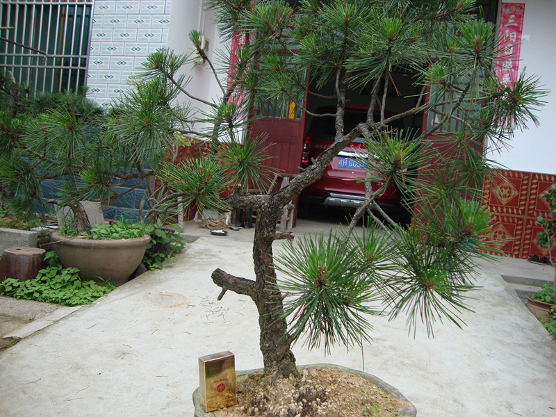 DSC01210_.jpg