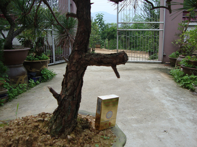 DSC01212_.jpg