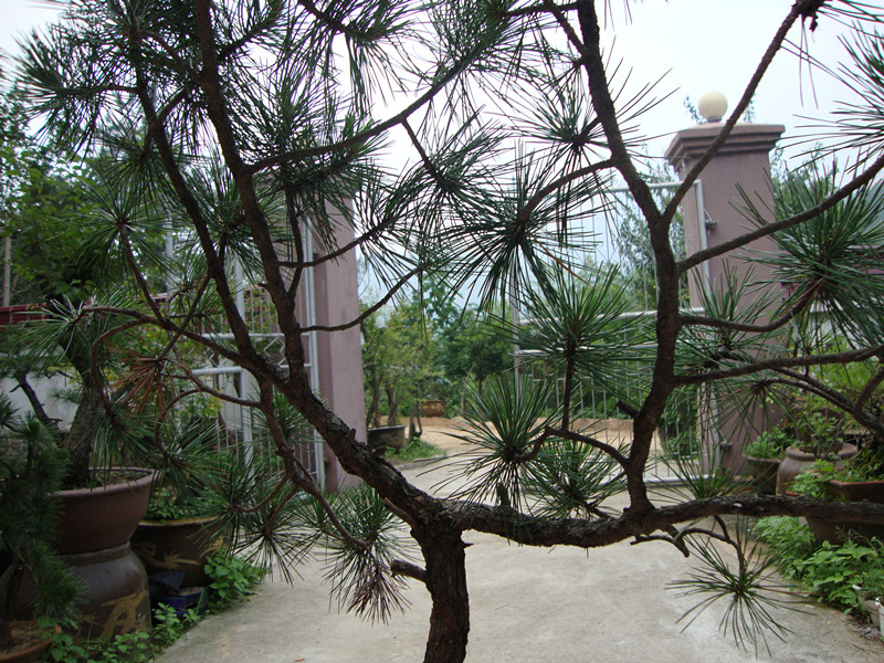 DSC01213_.jpg