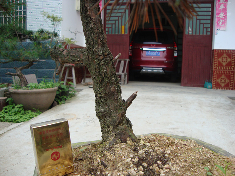 DSC01214_.jpg
