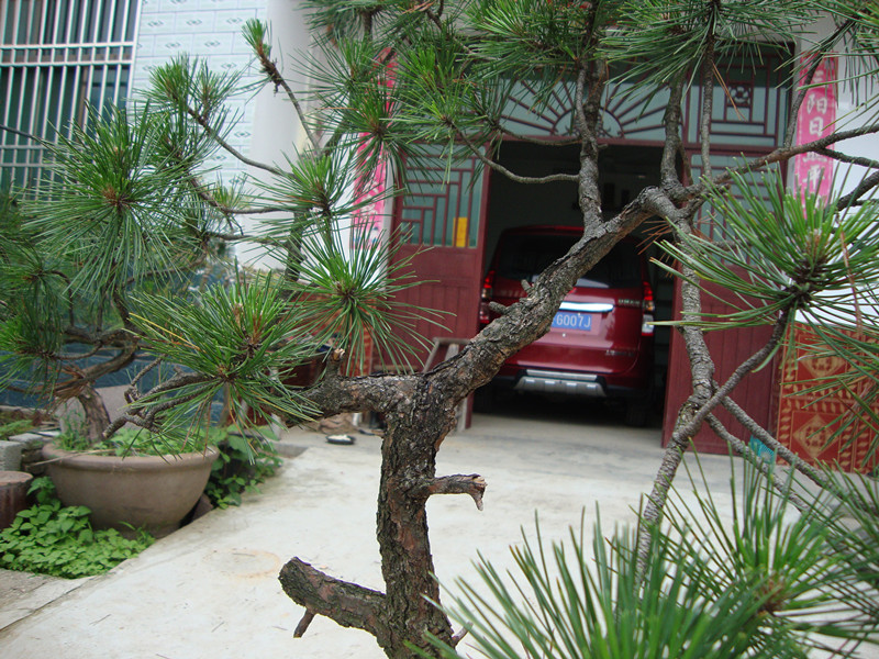 DSC01215_.jpg