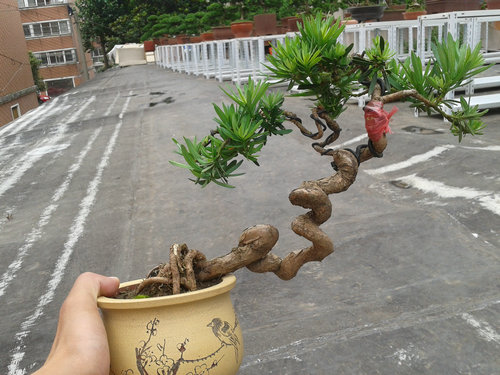 2013-06-29 13.17.09.jpg