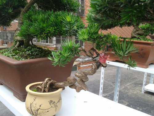 2013-06-29 13.24.33.jpg