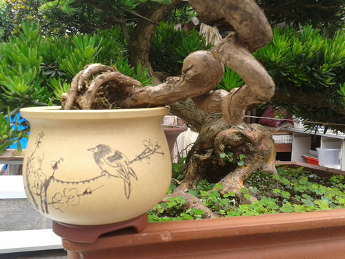 2013-06-29 13.28.13.jpg