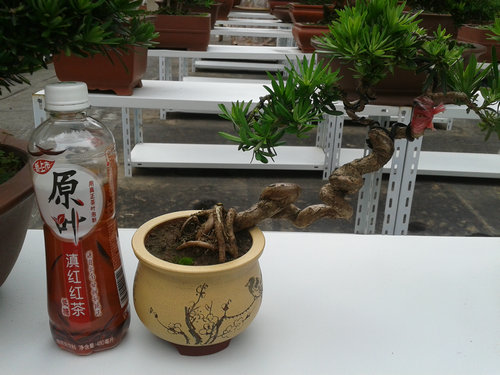 2013-06-29 13.35.14.jpg