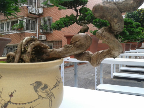 2013-06-29 13.37.06.jpg