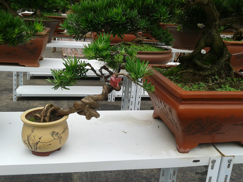2013-06-29 13.23.57.jpg
