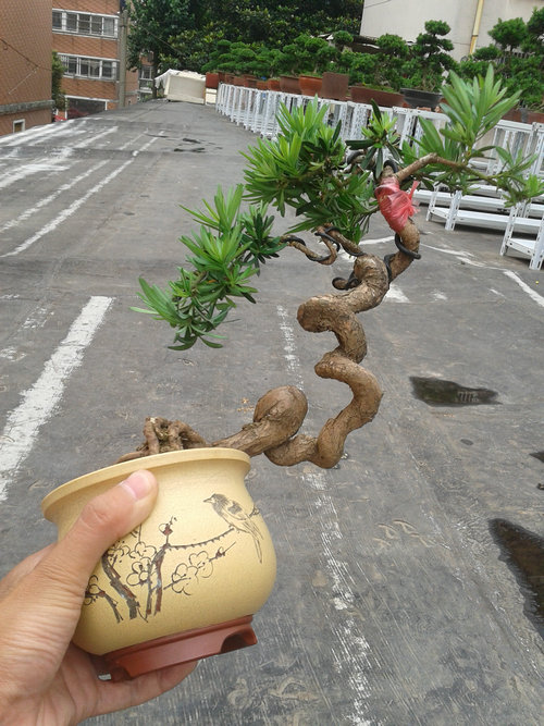 2013-06-29 13.11.55.jpg
