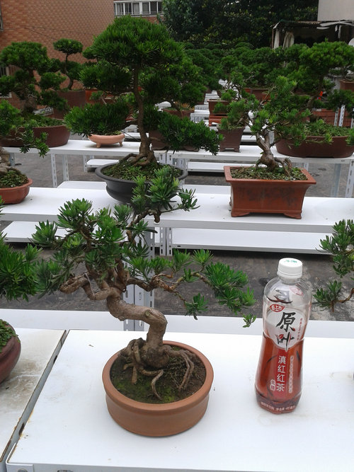 2013-06-29 13.44.39.jpg