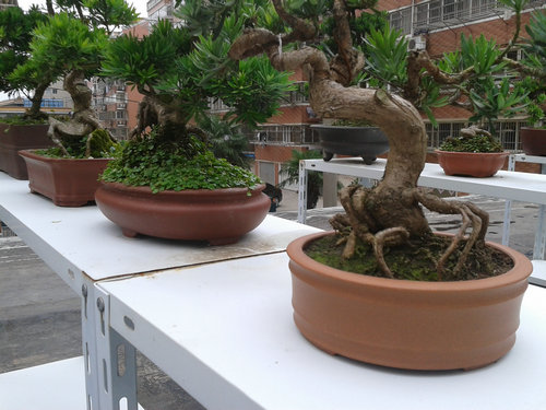 2013-06-29 13.46.08.jpg