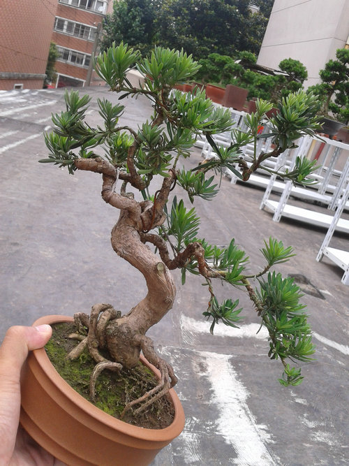 2013-06-29 13.47.49.jpg