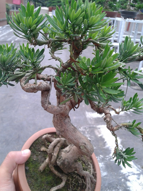2013-06-29 13.52.56.jpg