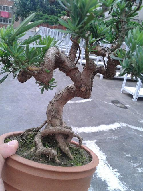 2013-06-29 13.54.04.jpg