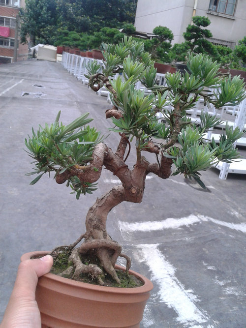 2013-06-29 13.54.16.jpg