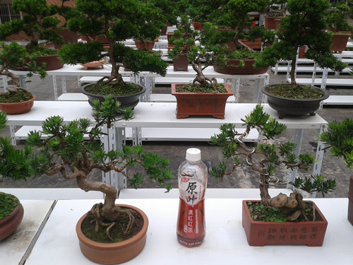 2013-06-29 13.44.27.jpg