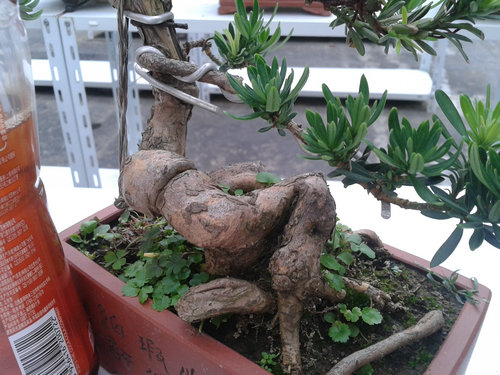 2013-06-29 13.58.24.jpg