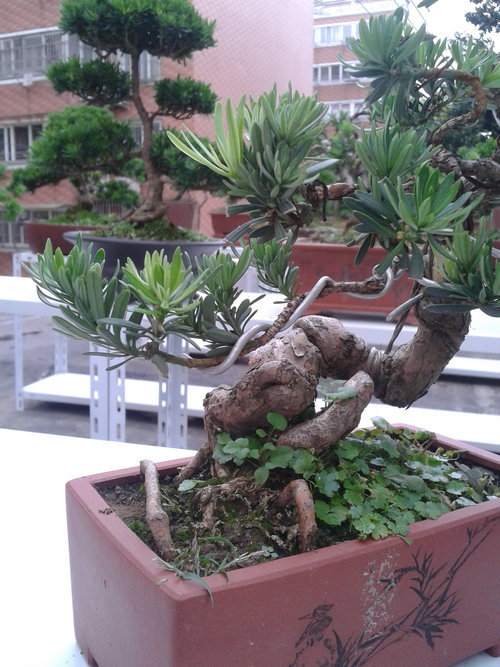 2013-06-29 13.59.03.jpg