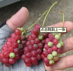}$1BWGUHWEX)YAIAIQ$U`P0.jpg