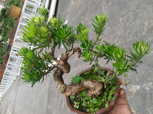 2013-06-29 14.44.53.jpg