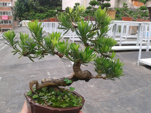 2013-06-29 14.43.11.jpg