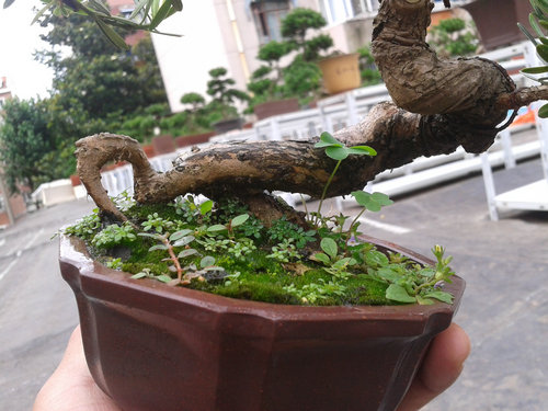 2013-06-29 14.43.38.jpg