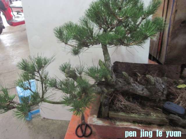 13-06-30 002.jpg