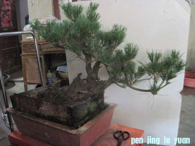 13-06-30 003.jpg