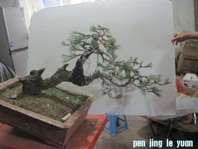 13-06-30 007.jpg