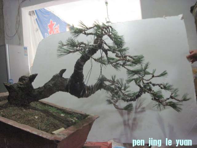 13-06-30 009.jpg
