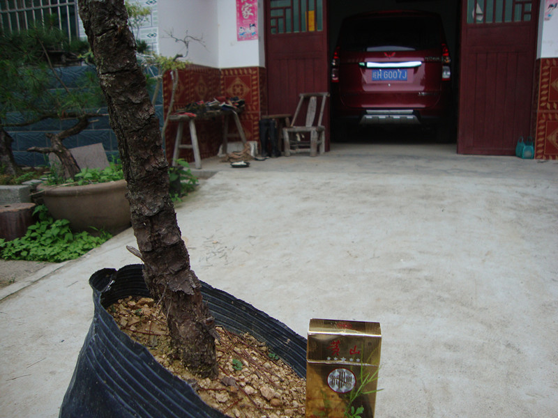 DSC01217_.jpg