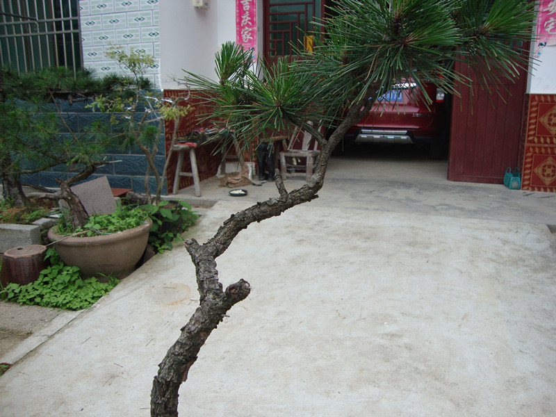 DSC01218_.jpg