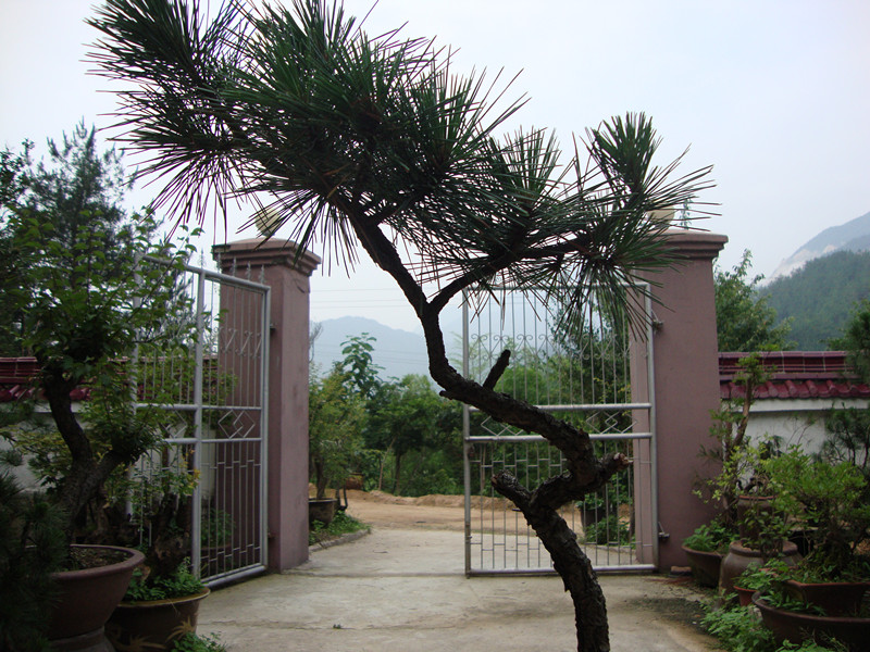 DSC01219_.jpg