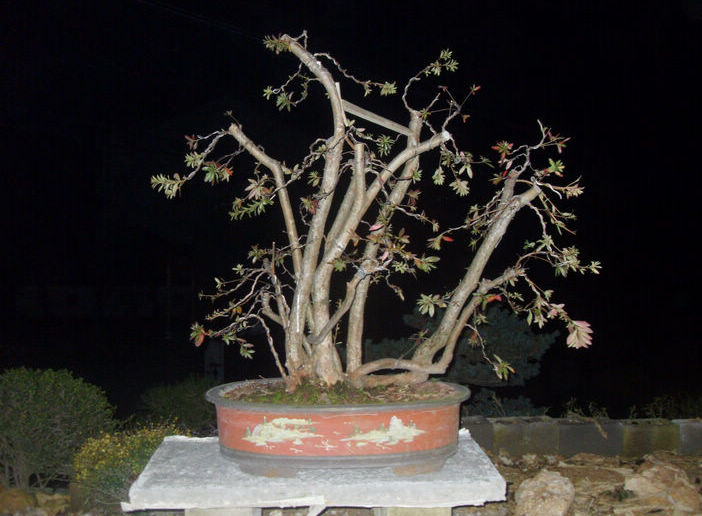 SDC13569.jpg