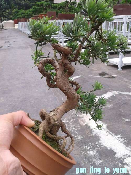 2013-06-29 13.51.20.jpg
