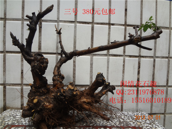 DSC07499_.jpg