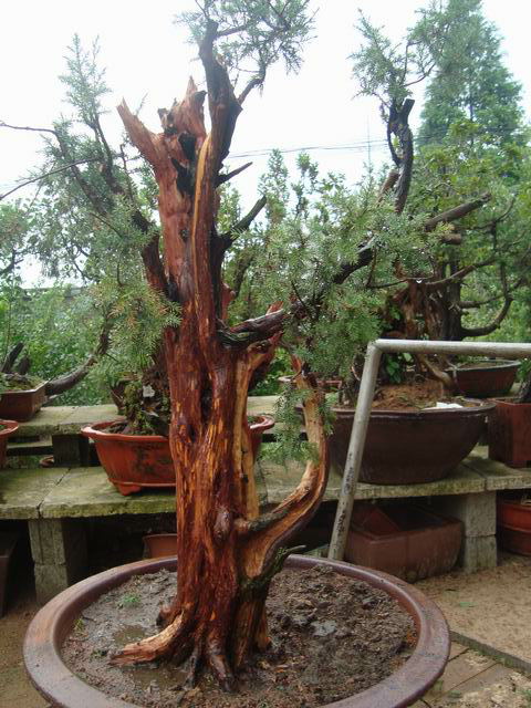 ת С DSC04327_ͼ.jpg