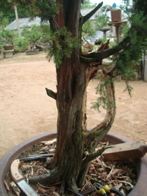 ת DSC04317_ͼ.jpg
