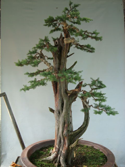 DSC07479_ͼ.jpg