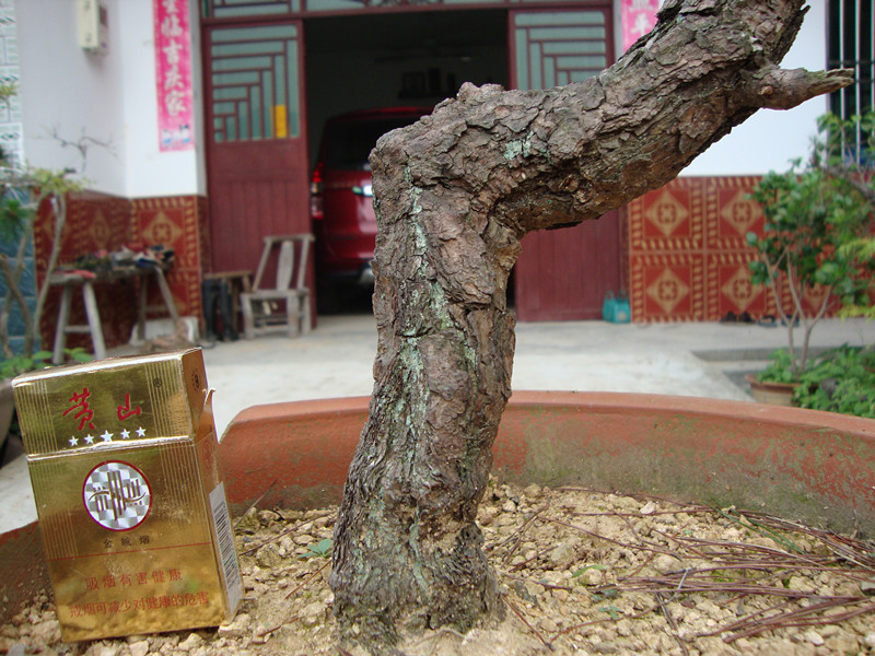 DSC01228_.jpg