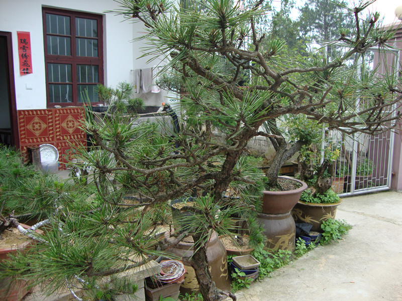 DSC01229_.jpg