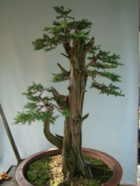 DSC07481_ͼ.jpg
