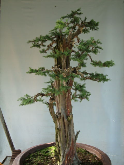 DSC07482_ͼ.jpg