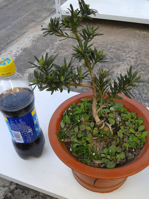 2013-04-30 15.25.08.jpg