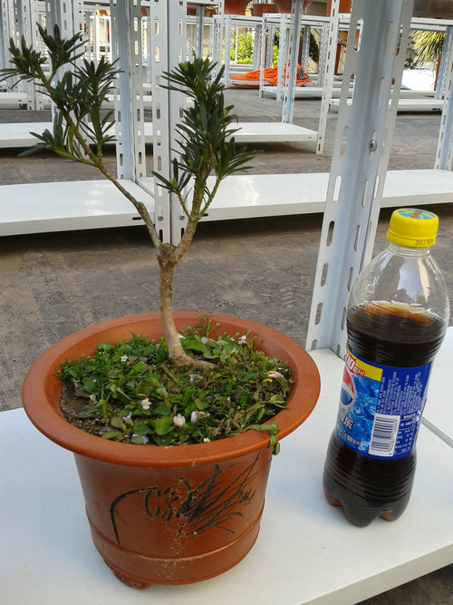 2013-04-30 15.25.33.jpg